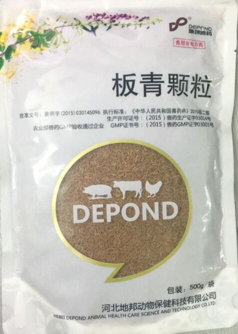 板青顆粒-清熱解毒，涼血。主治風(fēng)熱感冒，咽喉腫痛，熱病發(fā)斑。-河北地邦