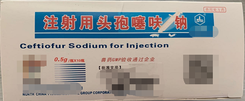 注射用頭孢賽呋鈉0.5g  抗菌藥 具有廣普殺菌作用  對(duì)革蘭氏陽(yáng)性菌、革蘭氏陰性菌均有效。其抗菌機(jī)理為抑制細(xì)胞壁的合成而導(dǎo)致細(xì)菌死亡。敏感菌主要有殺性巴氏桿菌、溶血性巴氏桿菌、膜膜 肺炎放線桿菌、沙門(mén)氏菌、大腸桿菌、鏈球菌、葡萄球菌等