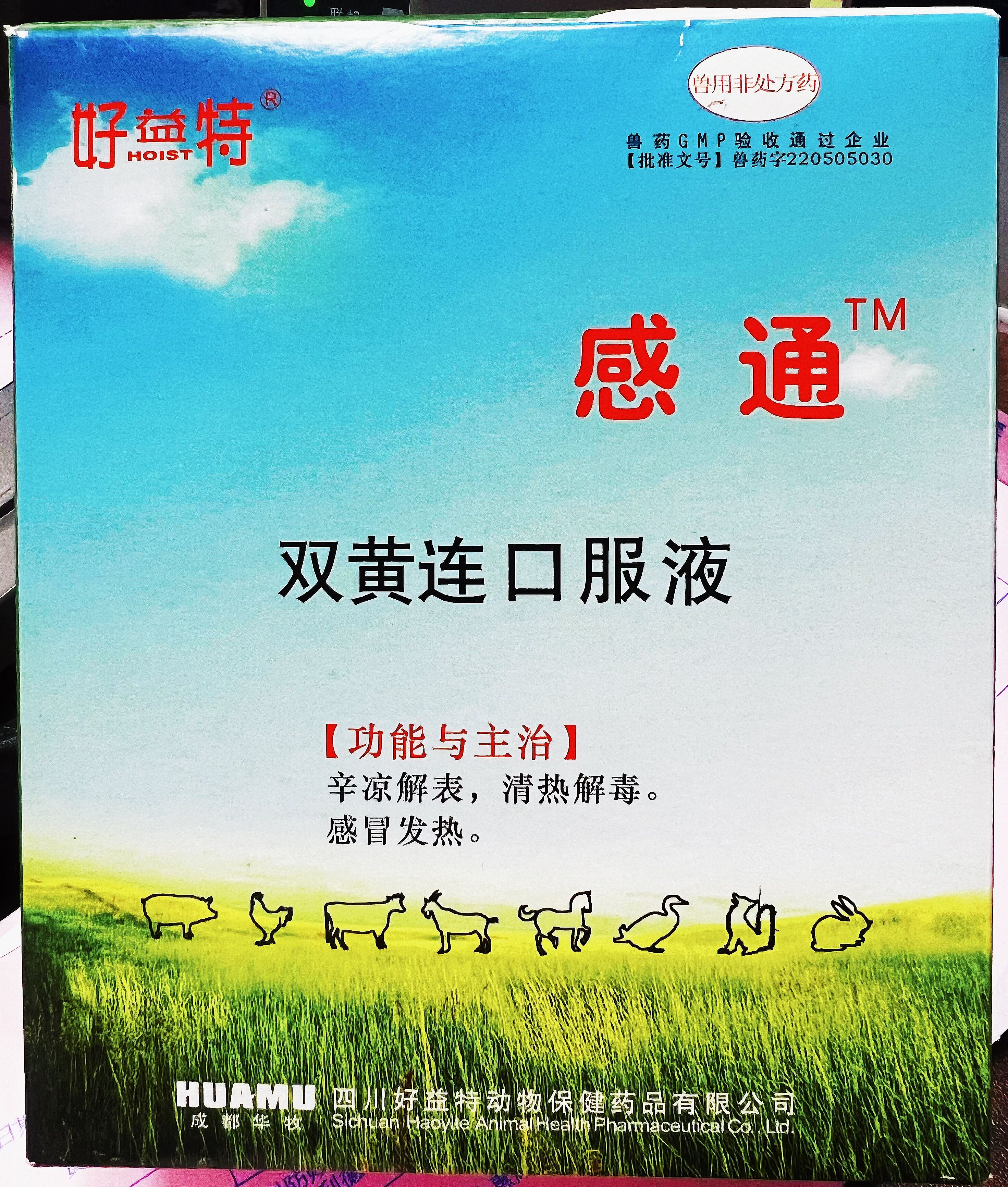 雙黃連口服液，辛涼解表，清熱解毒，感冒發(fā)熱，體溫升高，發(fā)熱與惡寒同時(shí)并見
