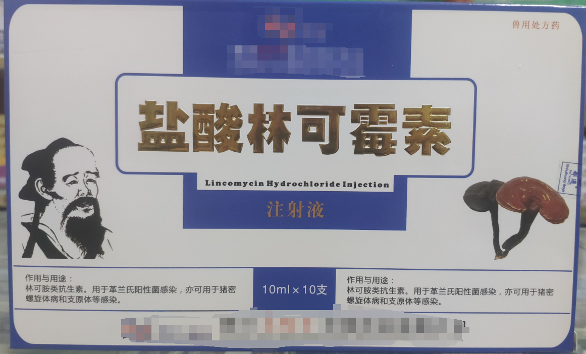 林可霉素注射液，用于革蘭氏陽(yáng)性菌感染，亦可用于豬密螺旋體和支原體感染