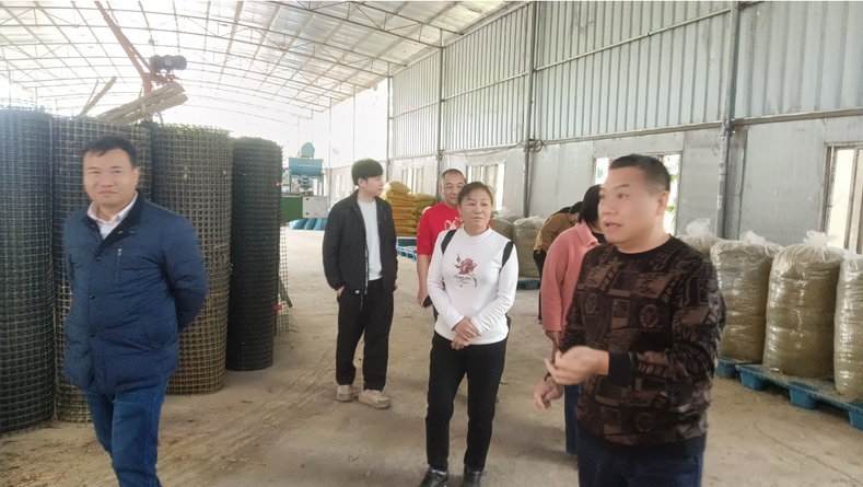 廣西家禽業(yè)協(xié)會(huì)韋鳳英會(huì)長在廣西助農(nóng)公司生態(tài)循環(huán)養(yǎng)殖基地發(fā)酵飼料生產(chǎn)區(qū)調(diào)研.png