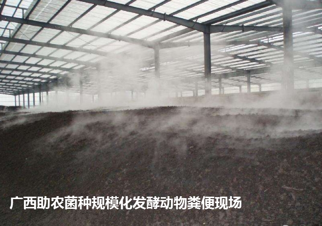 高熱腐熟菌（案例發(fā)酵現(xiàn)場(chǎng)）.png