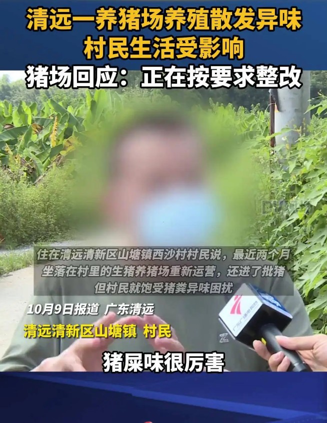 豬場(chǎng)臭味大被投訴.jpg