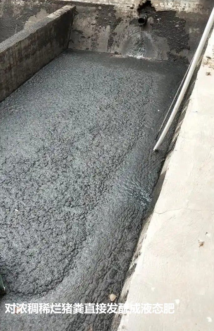 對濃稠稀爛豬糞直接發酵成液態肥.jpg
